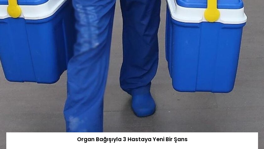 Organ Bağışıyla 3 Hastaya Yeni Bir Şans
