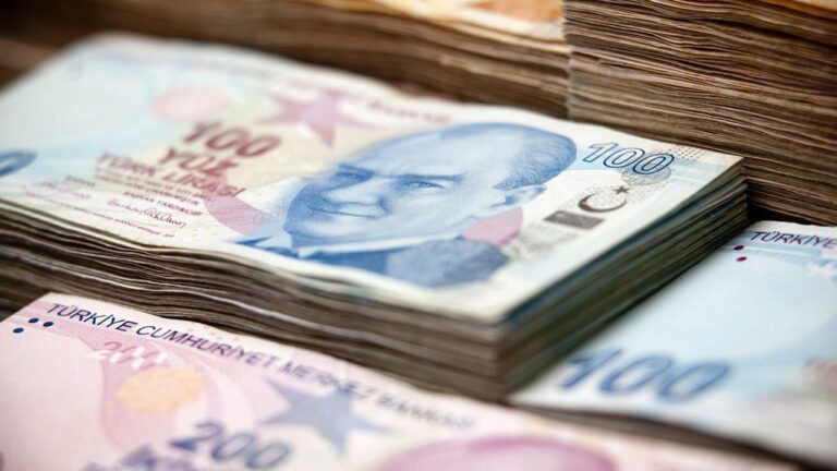 Organize Tarım Bölgelerine 6 Milyar Liralık Destek
