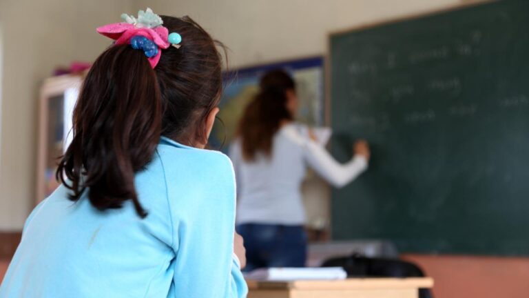 Resmi eğitim kurumlarında öğretmen istihdamı