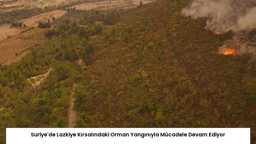 Suriye’de Lazkiye Kırsalındaki Orman Yangınıyla Mücadele Devam Ediyor