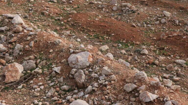 Suriye’nin Humus ilinde korkunç keşif: Dört toplu mezar bulundu