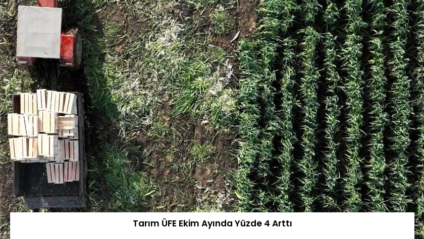 Tarım ÜFE Ekim Ayında Yüzde 4 Arttı