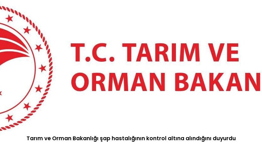 Tarım ve Orman Bakanlığı şap hastalığının kontrol altına alındığını duyurdu