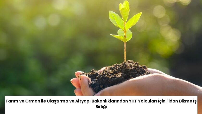 Tarım ve Orman ile Ulaştırma ve Altyapı Bakanlıklarından YHT Yolcuları İçin Fidan Dikme İş Birliği