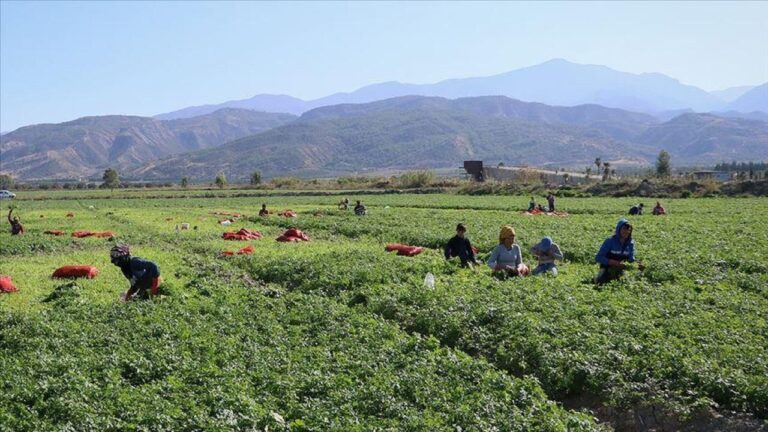Tarımsal ekim döneminde gözler gelecek yağışlarda