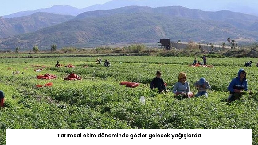 Tarımsal ekim döneminde gözler gelecek yağışlarda