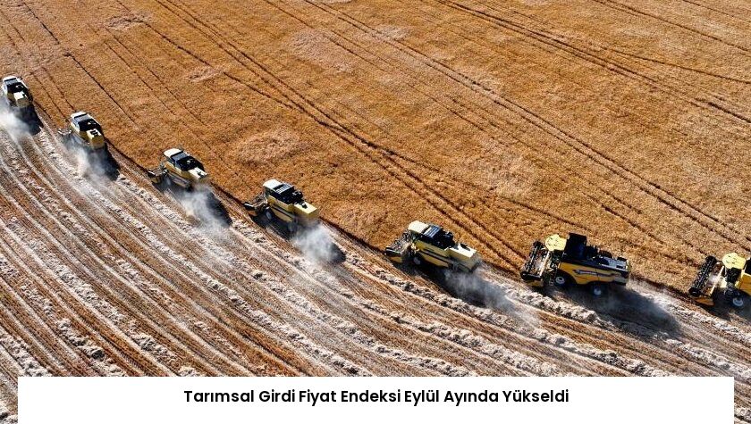 Tarımsal Girdi Fiyat Endeksi Eylül Ayında Yükseldi