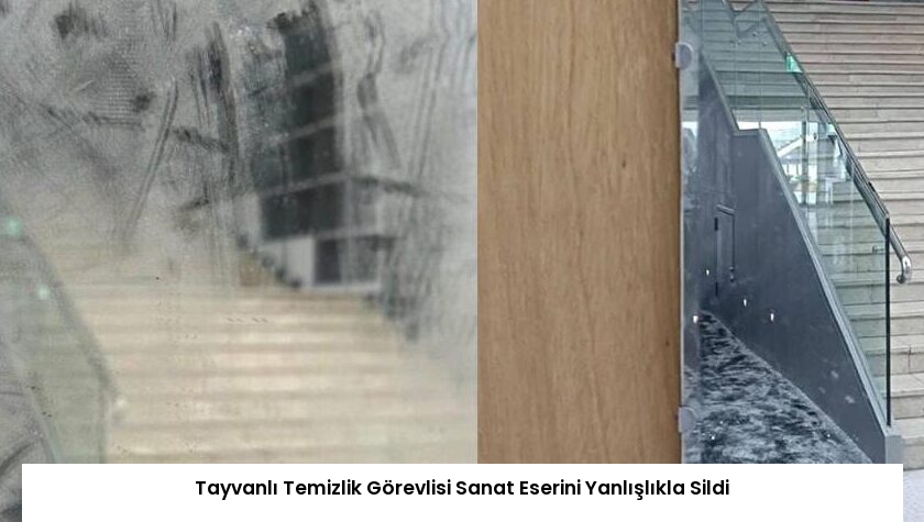 Tayvanlı Temizlik Görevlisi Sanat Eserini Yanlışlıkla Sildi