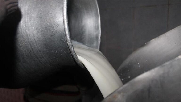 TİGEM, 74 bin 665 ton inek sütü için ihale düzenleyecek