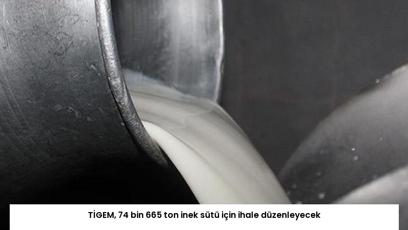 TİGEM, 74 bin 665 ton inek sütü için ihale düzenleyecek