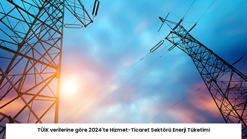 TÜİK verilerine göre 2024’te Hizmet-Ticaret Sektörü Enerji Tüketimi