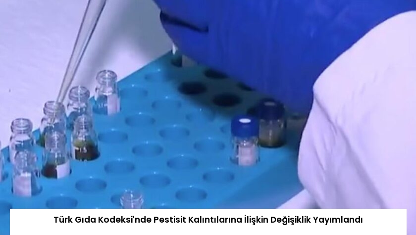 Türk Gıda Kodeksi’nde Pestisit Kalıntılarına İlişkin Değişiklik Yayımlandı