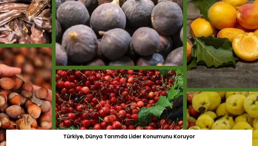 Türkiye, Dünya Tarımda Lider Konumunu Koruyor
