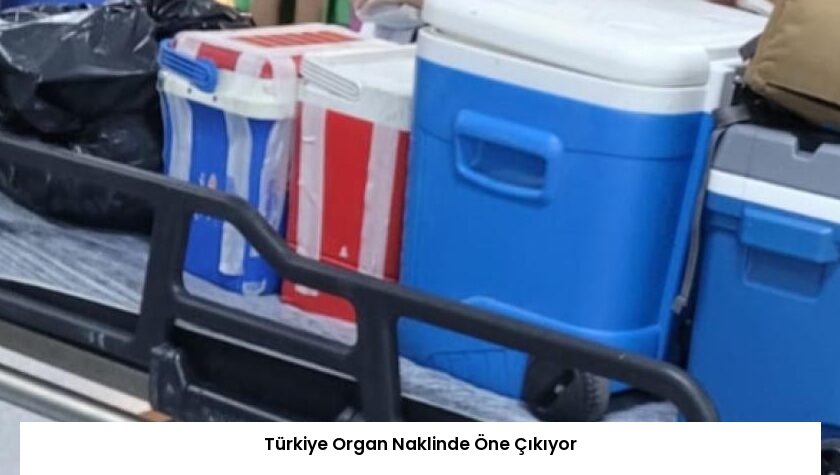 Türkiye Organ Naklinde Öne Çıkıyor
