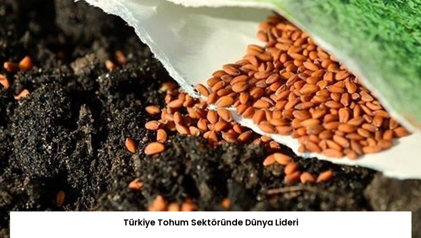Türkiye Tohum Sektöründe Dünya Lideri