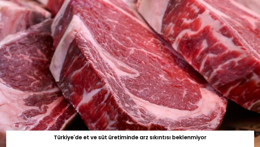 Türkiye’de et ve süt üretiminde arz sıkıntısı beklenmiyor