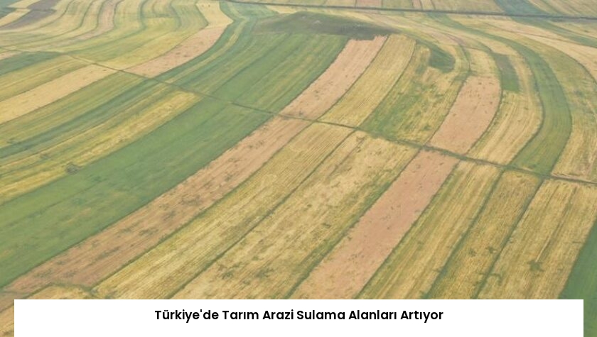 Türkiye’de Tarım Arazi Sulama Alanları Artıyor