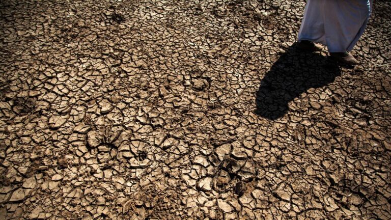 Türkiye’deki arazi bozulması ve kuraklık sorununa FAO’dan destek