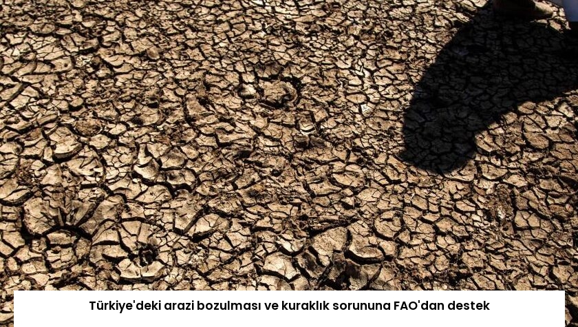 Türkiye’deki arazi bozulması ve kuraklık sorununa FAO’dan destek