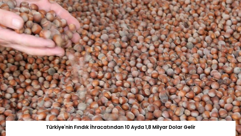 Türkiye’nin Fındık İhracatından 10 Ayda 1,8 Milyar Dolar Gelir