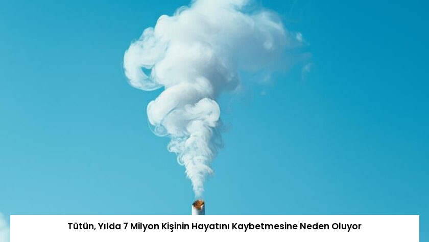 Tütün, Yılda 7 Milyon Kişinin Hayatını Kaybetmesine Neden Oluyor