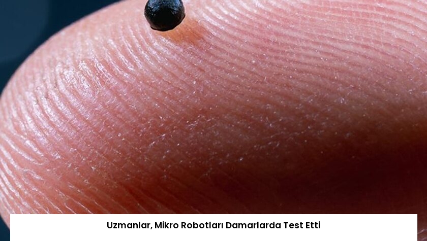 Uzmanlar, Mikro Robotları Damarlarda Test Etti