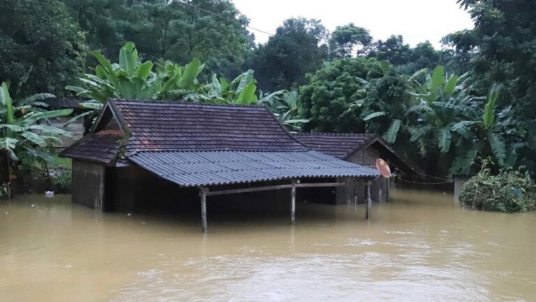Vietnam’da sel ve heyelan: 28 can kaybı