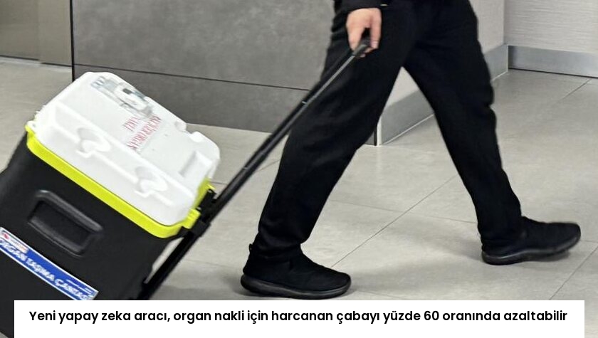 Yeni yapay zeka aracı, organ nakli için harcanan çabayı yüzde 60 oranında azaltabilir