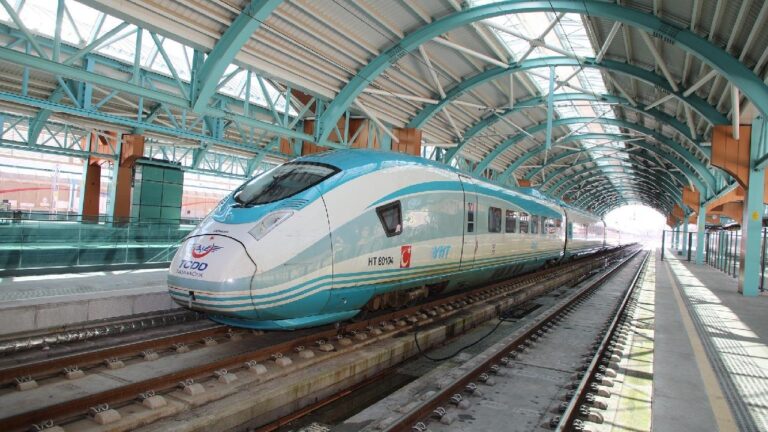 Yolcu Taşıma Platformu ile kesilen tren biletleriyle 3 bin ağaç kurtuldu