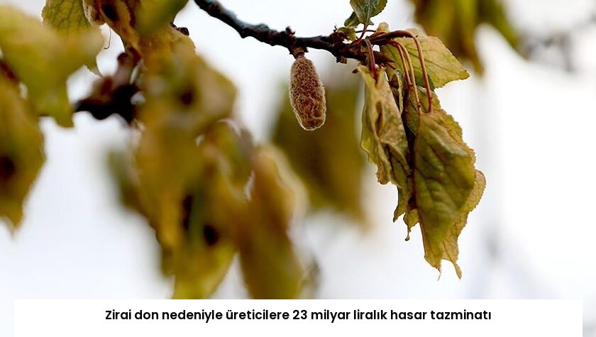 Zirai don nedeniyle üreticilere 23 milyar liralık hasar tazminatı