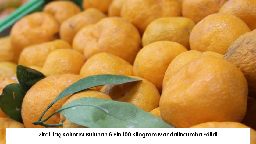 Zirai İlaç Kalıntısı Bulunan 6 Bin 100 Kilogram Mandalina İmha Edildi