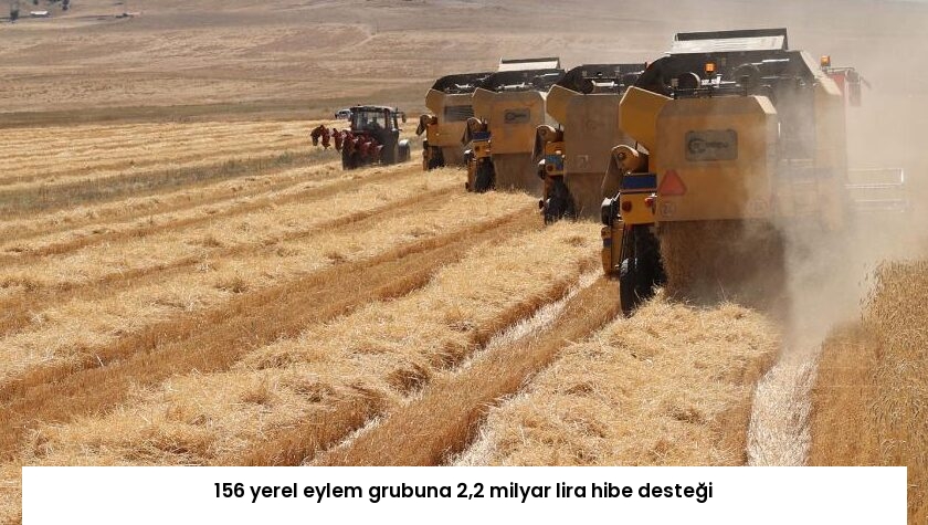 156 yerel eylem grubuna 2,2 milyar lira hibe desteği