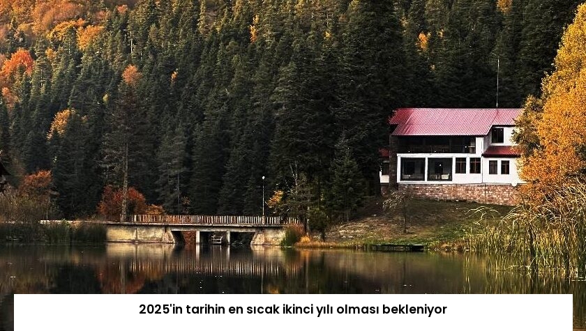 2025’in tarihin en sıcak ikinci yılı olması bekleniyor
