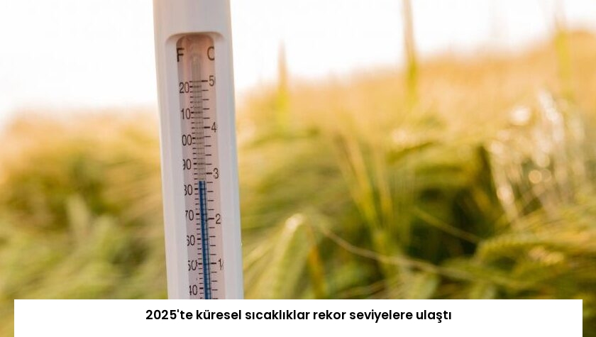 2025’te küresel sıcaklıklar rekor seviyelere ulaştı