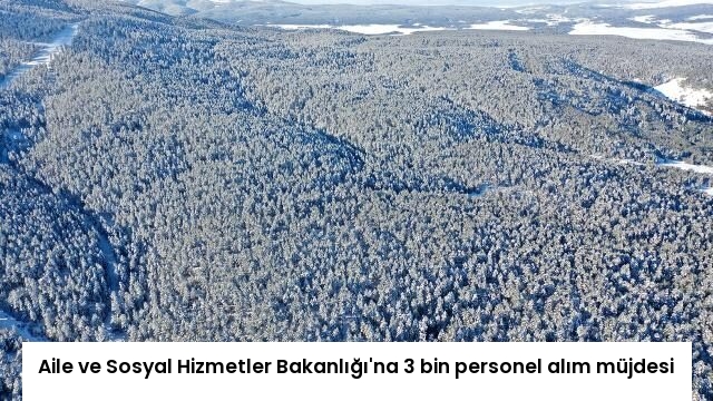 Aile ve Sosyal Hizmetler Bakanlığı’na 3 bin personel alım müjdesi