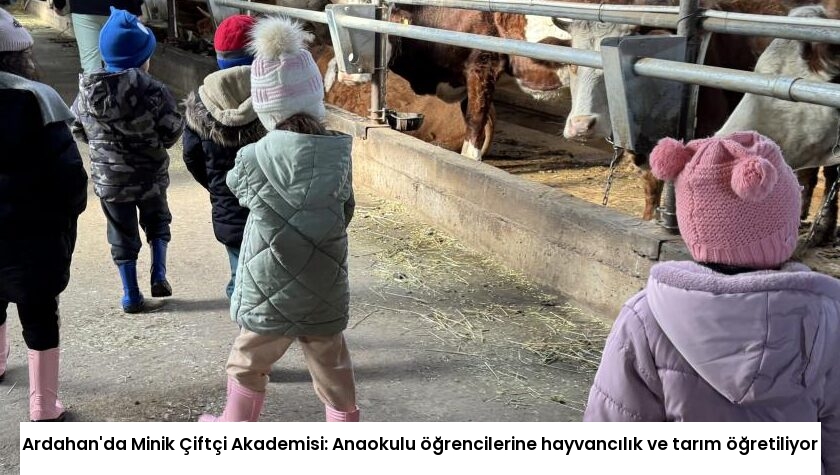 Ardahan’da Minik Çiftçi Akademisi: Anaokulu öğrencilerine hayvancılık ve tarım öğretiliyor