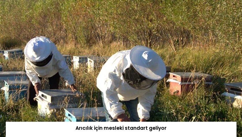 Arıcılık için mesleki standart geliyor