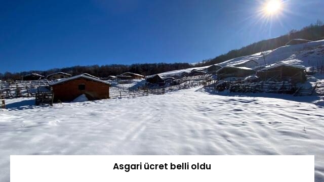 Asgari ücret belli oldu