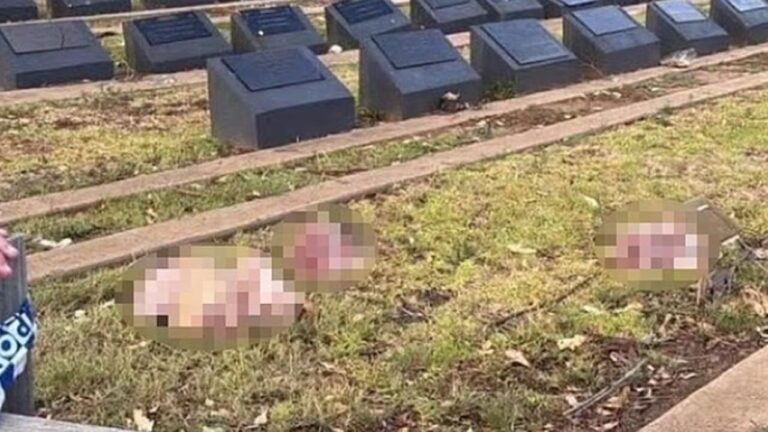 Avustralya’nın Sydney kentinde Müslüman mezarlığına domuz kafaları bırakıldı