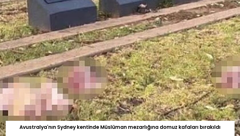 Avustralya’nın Sydney kentinde Müslüman mezarlığına domuz kafaları bırakıldı