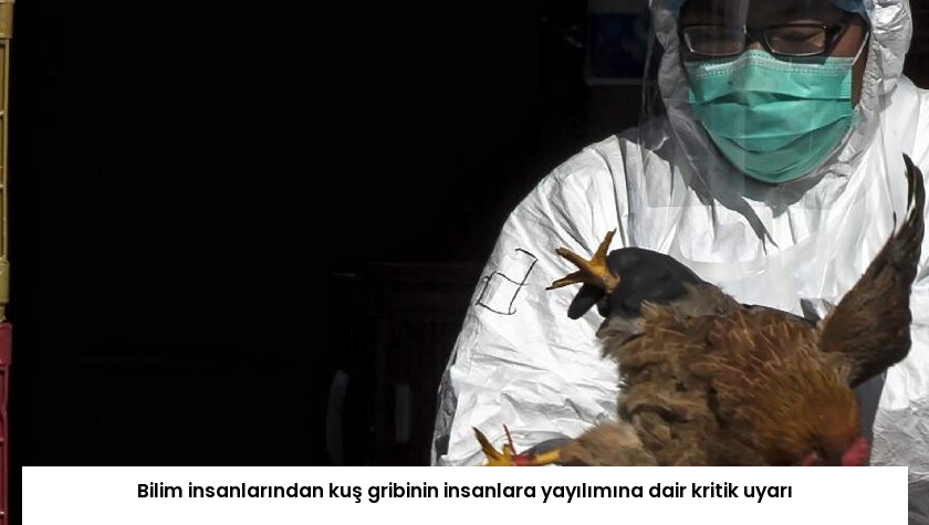 Bilim insanlarından kuş gribinin insanlara yayılımına dair kritik uyarı