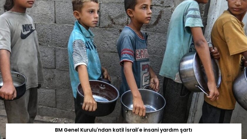 BM Genel Kurulu’ndan katil İsrail’e insani yardım şartı