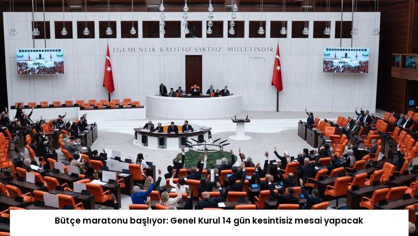 Bütçe maratonu başlıyor: Genel Kurul 14 gün kesintisiz mesai yapacak