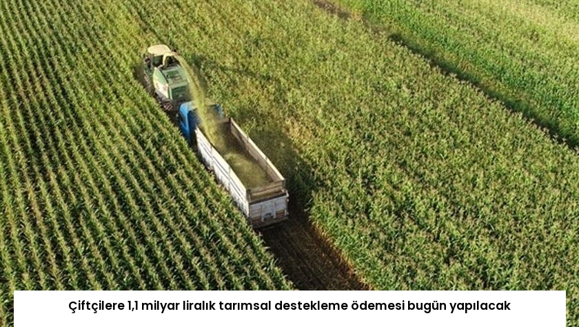 Çiftçilere 1,1 milyar liralık tarımsal destekleme ödemesi bugün yapılacak