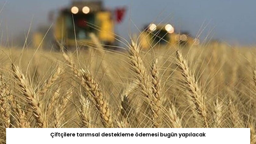 Çiftçilere tarımsal destekleme ödemesi bugün yapılacak