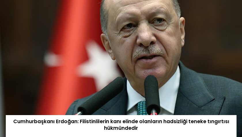 Cumhurbaşkanı Erdoğan: Filistinlilerin kanı elinde olanların hadsizliği teneke tıngırtısı hükmündedir