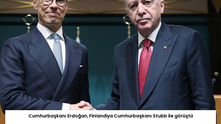 Cumhurbaşkanı Erdoğan, Finlandiya Cumhurbaşkanı Stubb ile görüştü