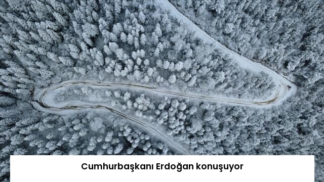 Cumhurbaşkanı Erdoğan konuşuyor
