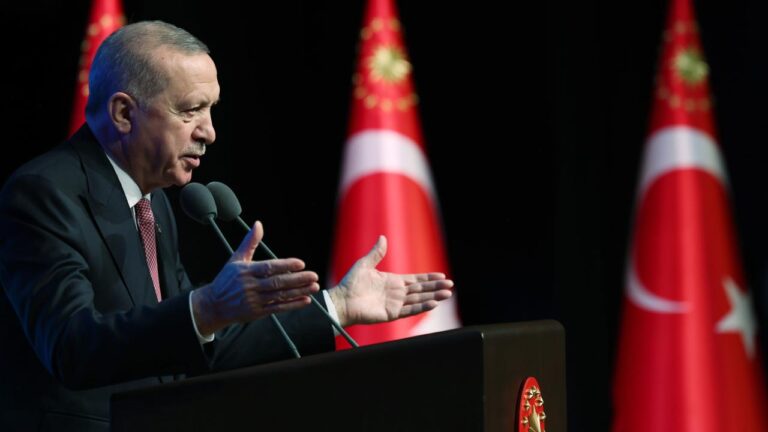 Cumhurbaşkanı Erdoğan: Türkiye dünyaya insan hakları dersi verdi