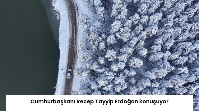 Cumhurbaşkanı Recep Tayyip Erdoğan konuşuyor